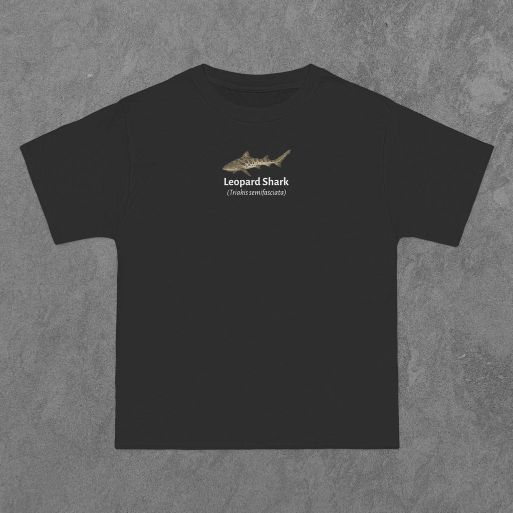 Leopard Shark - (Triakis semifasciata)