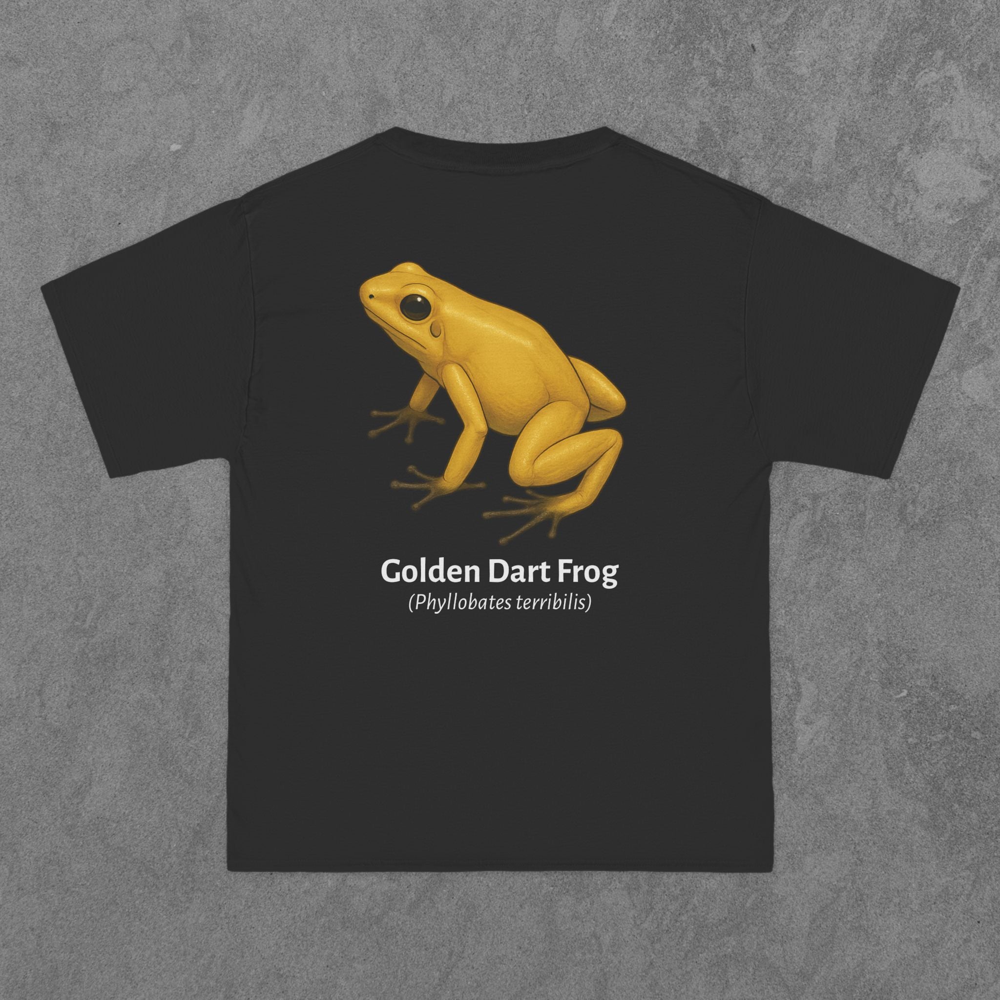 Golden Dart Frog - (Phyllobates terribilis)