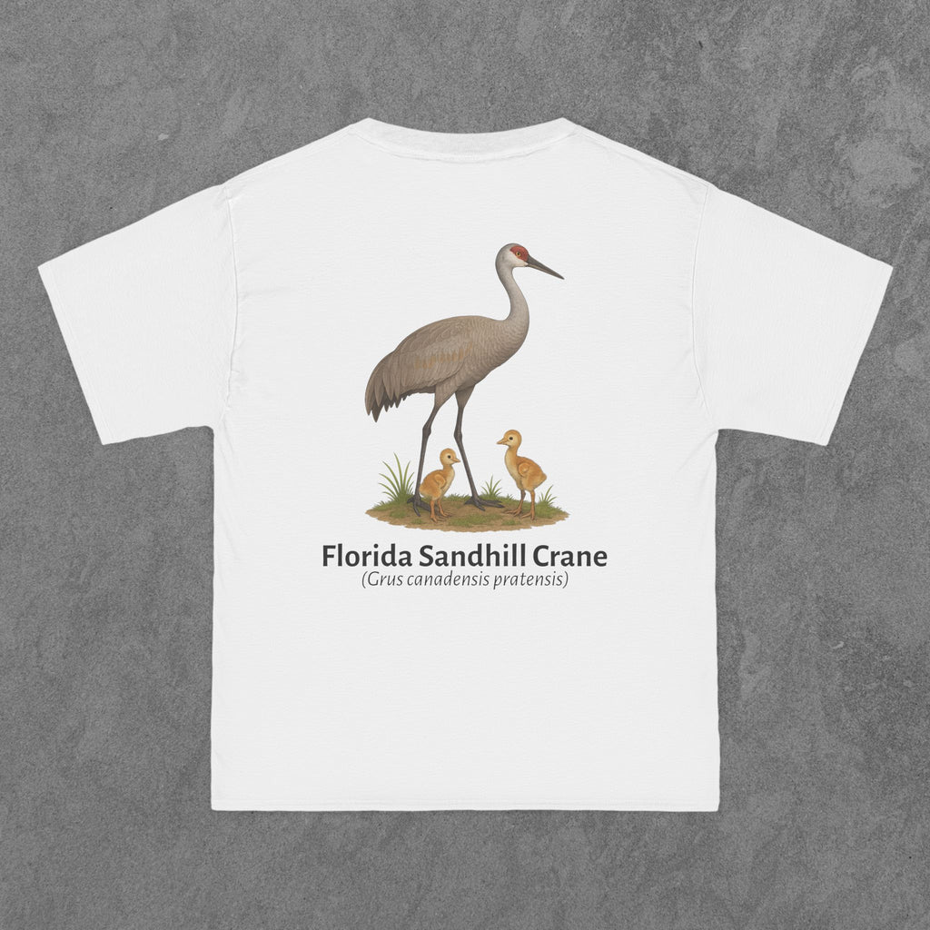 Florida Sandhill Crane - (Grus canadensis pratensis)