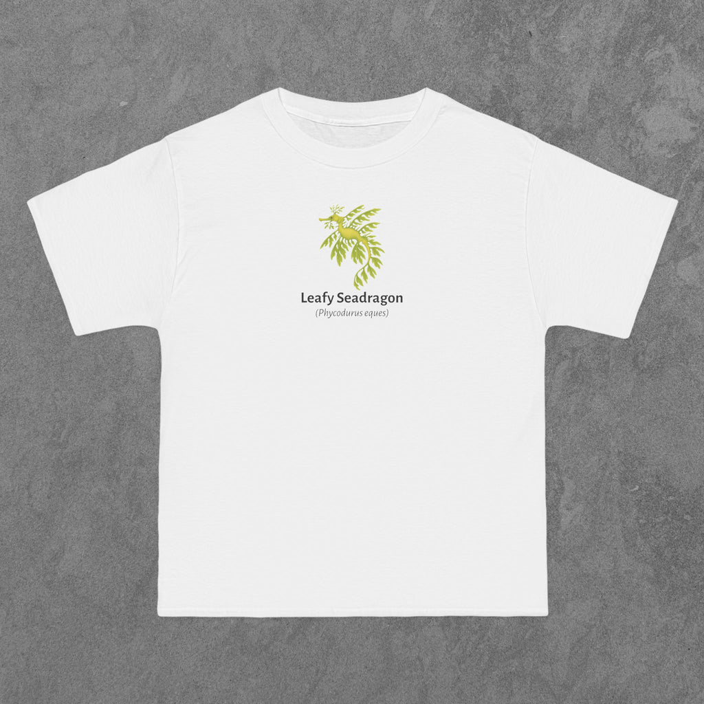 Leafy Seadragon - (Phycodurus eques)