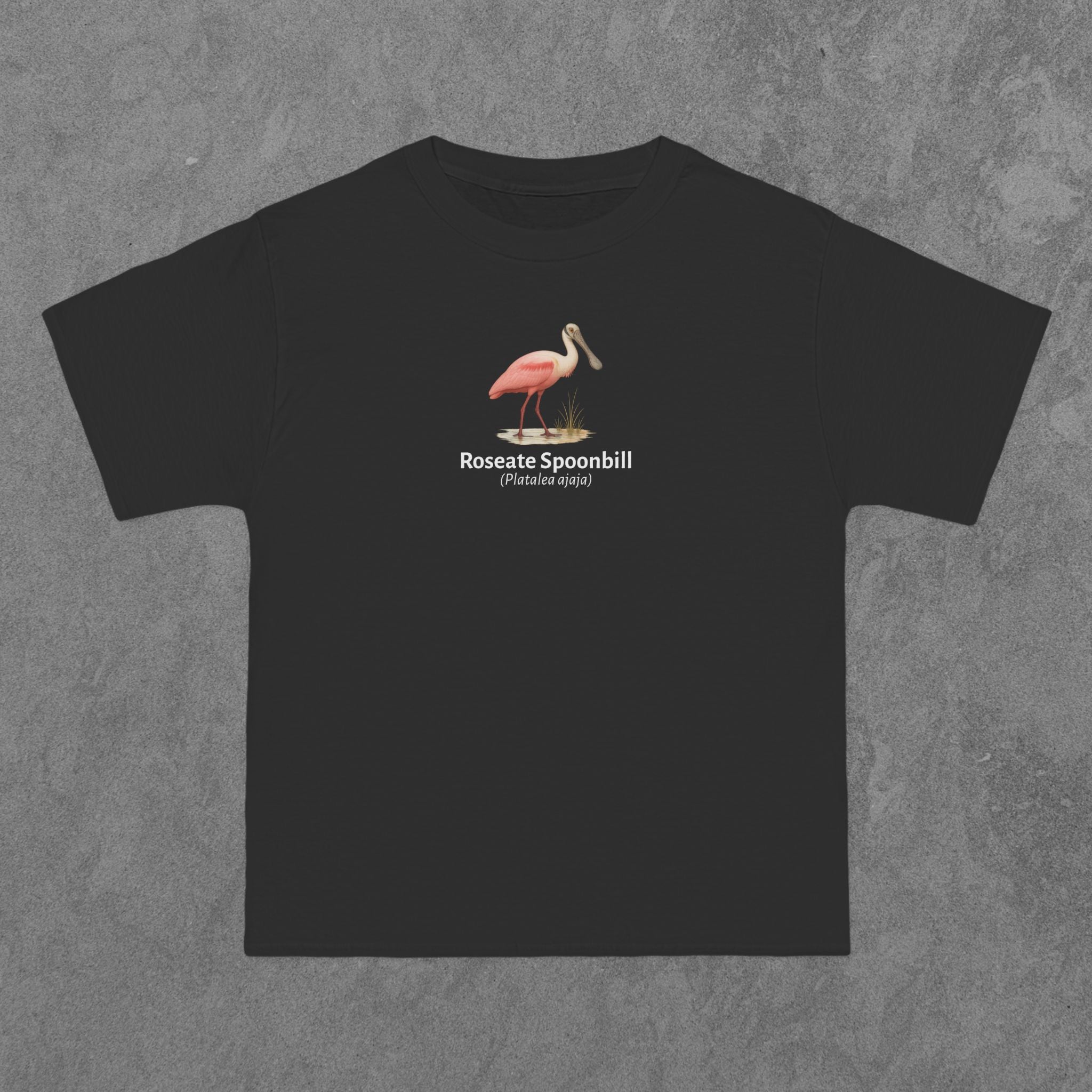 Roseate Spoonbill - (Platalea ajaja)