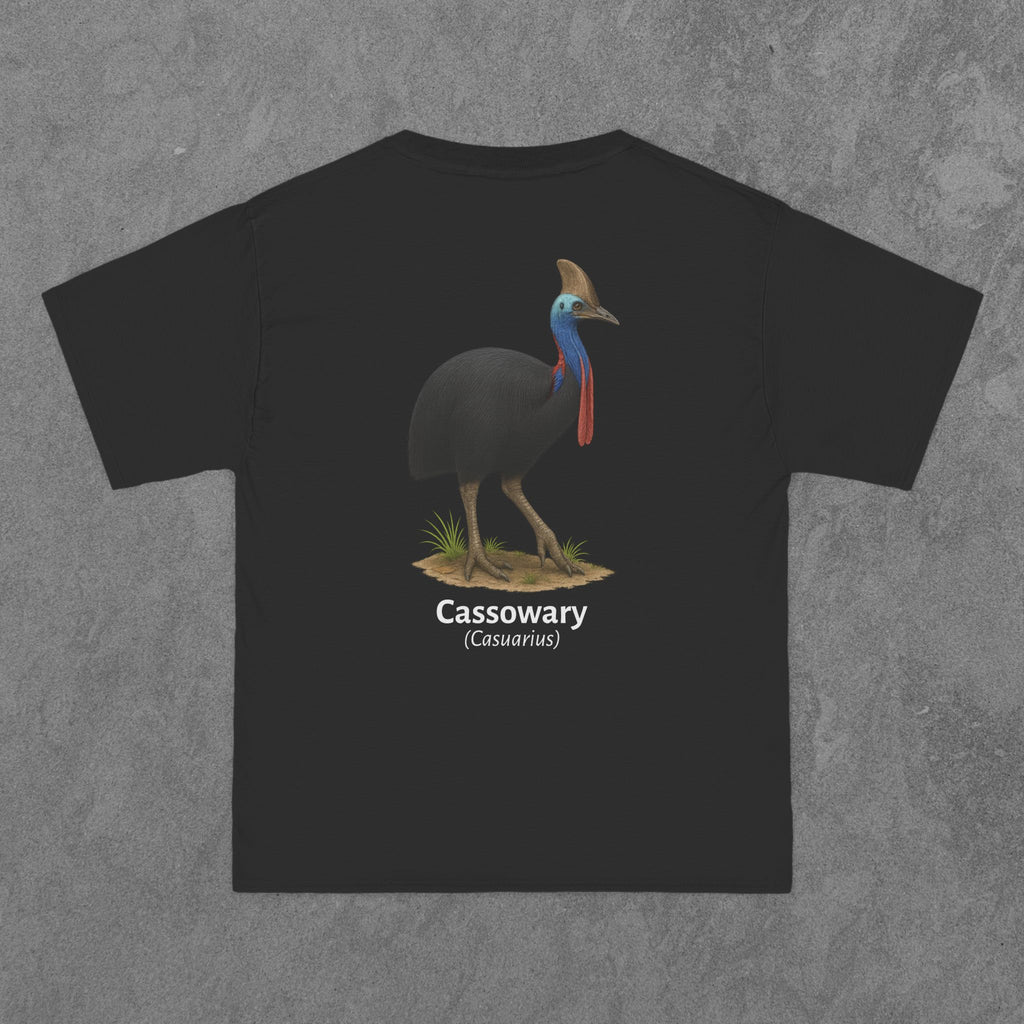 Cassowary - (Casuarius)