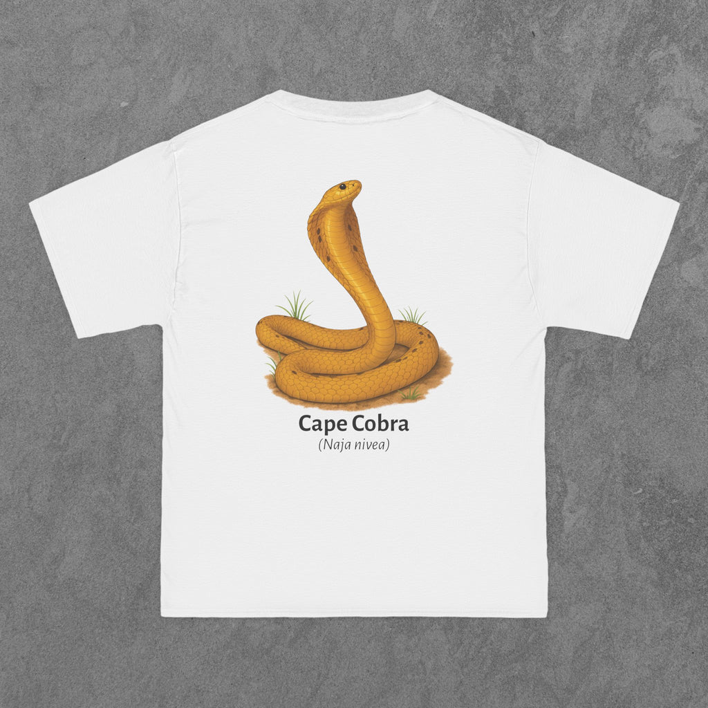 Cape Cobra - (Naja nivea)