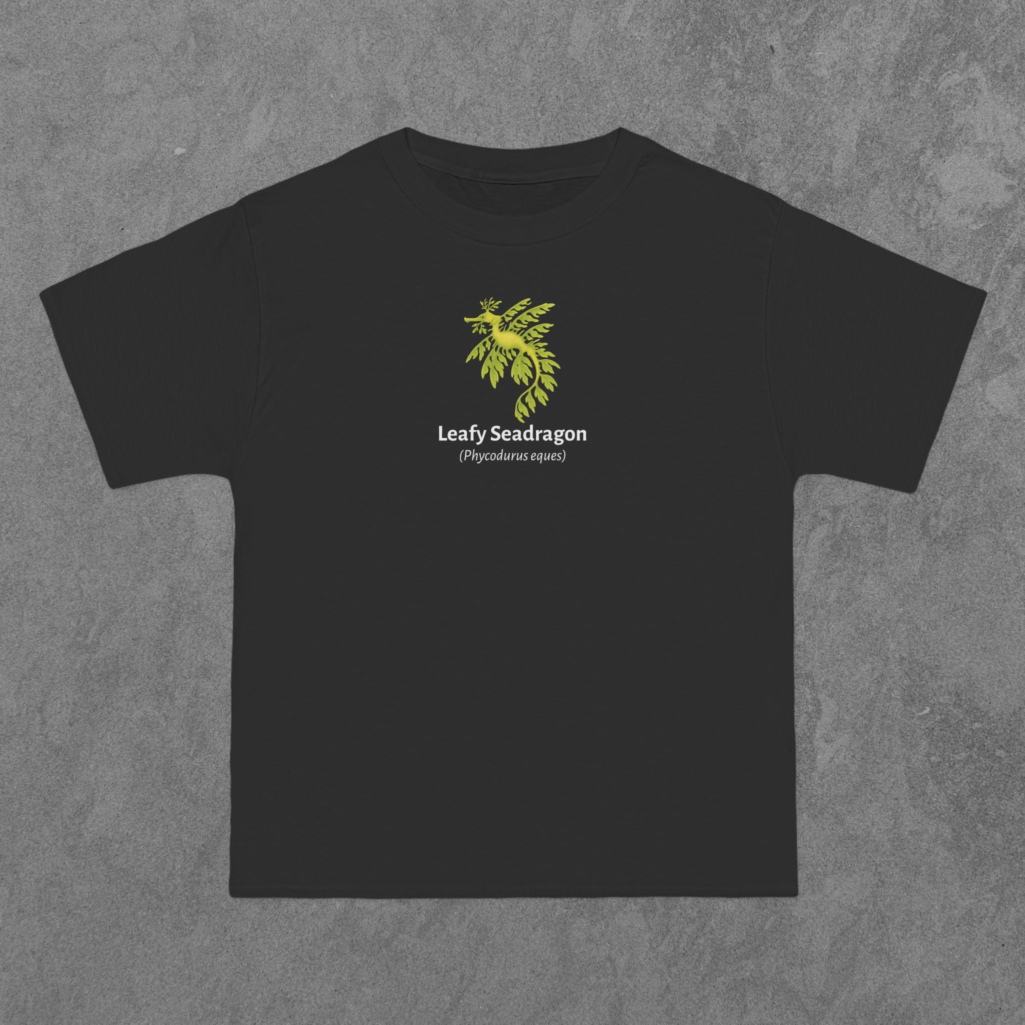 Leafy Seadragon - (Phycodurus eques)