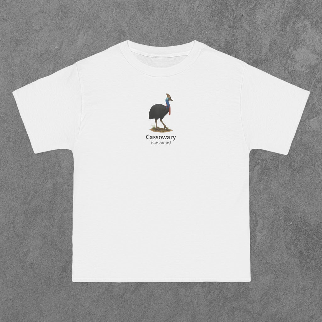 Cassowary - (Casuarius)