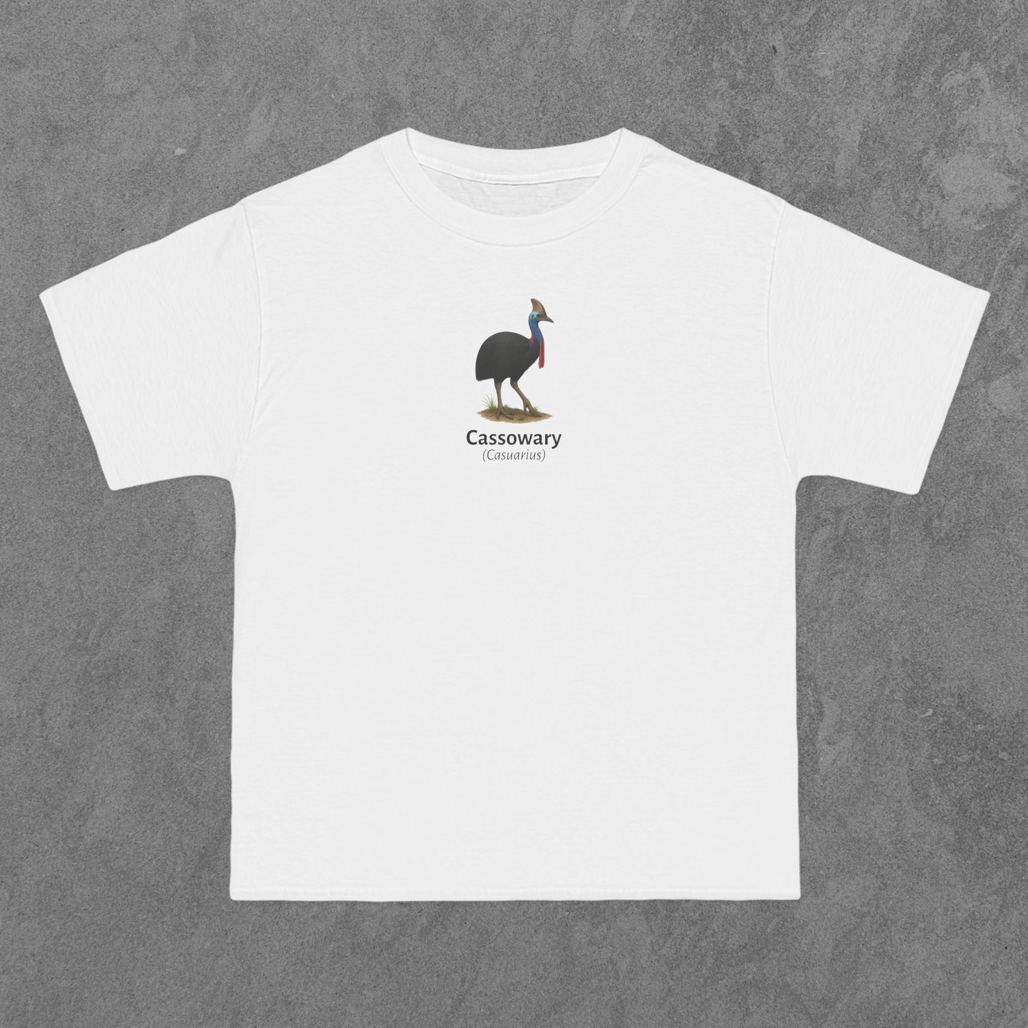 Cassowary - (Casuarius)