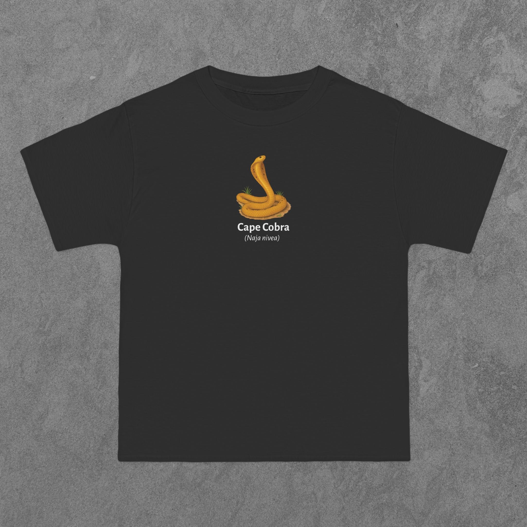 Cape Cobra - (Naja nivea)