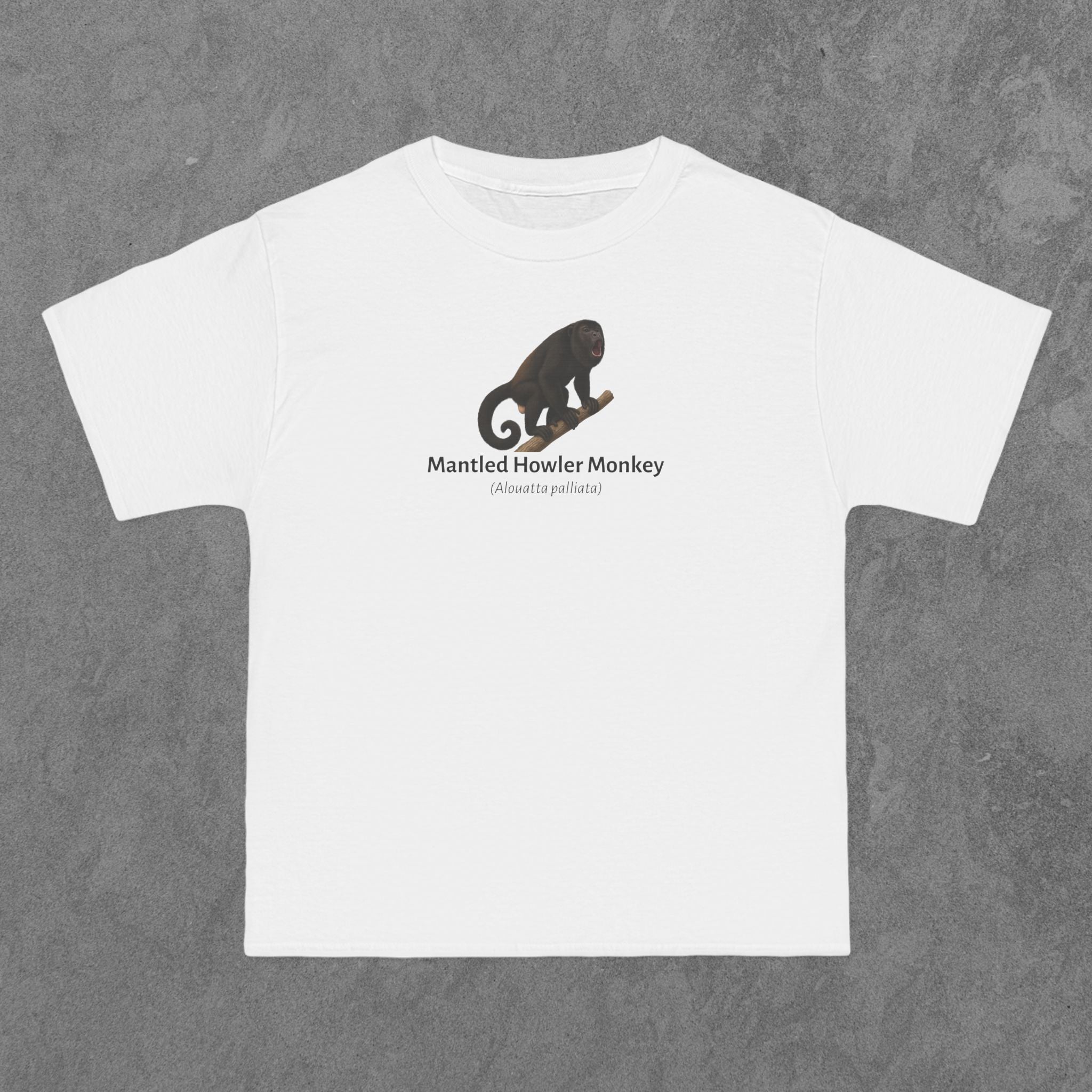 Mantled Howler Monkey - (Alouatta palliata)