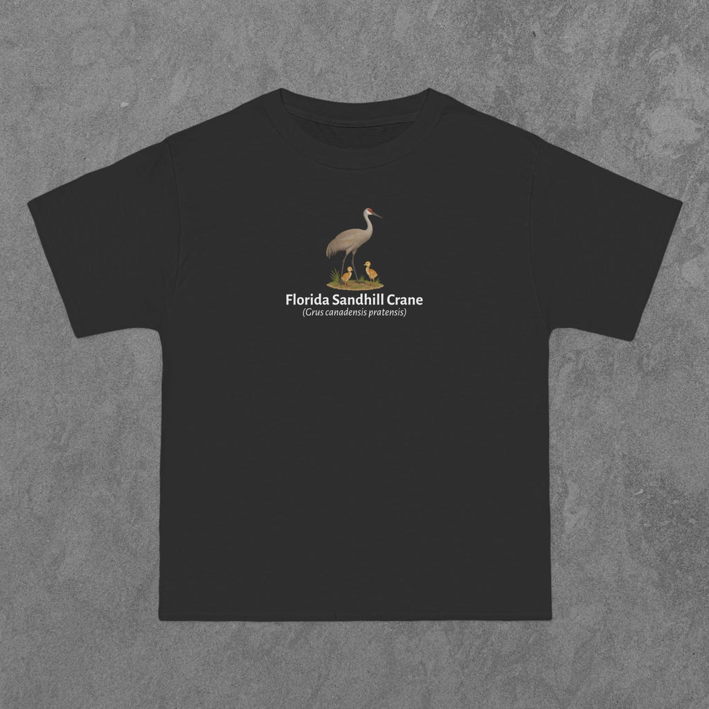 Florida Sandhill Crane - (Grus canadensis pratensis)