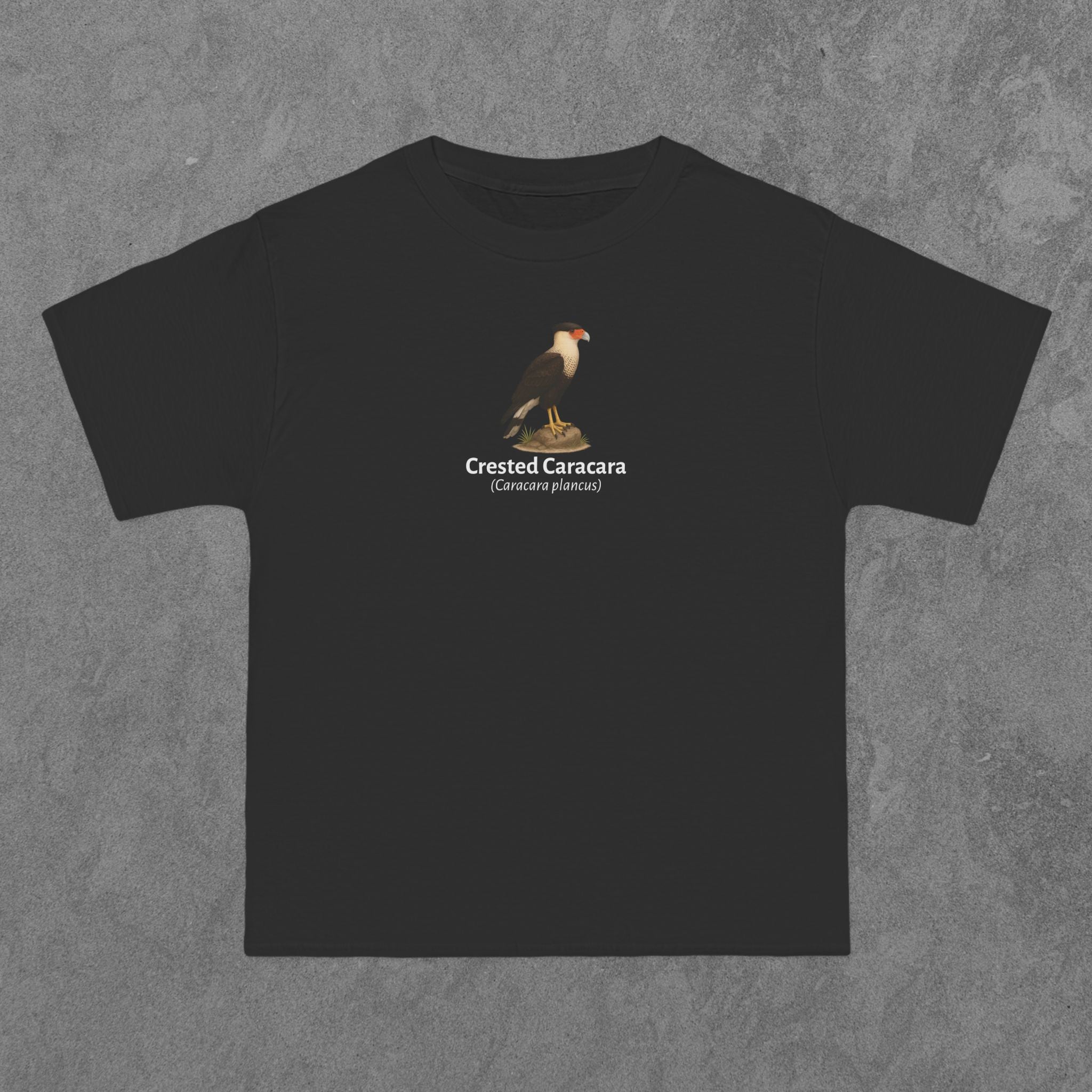 Crested Caracara - (Caracara plancus)