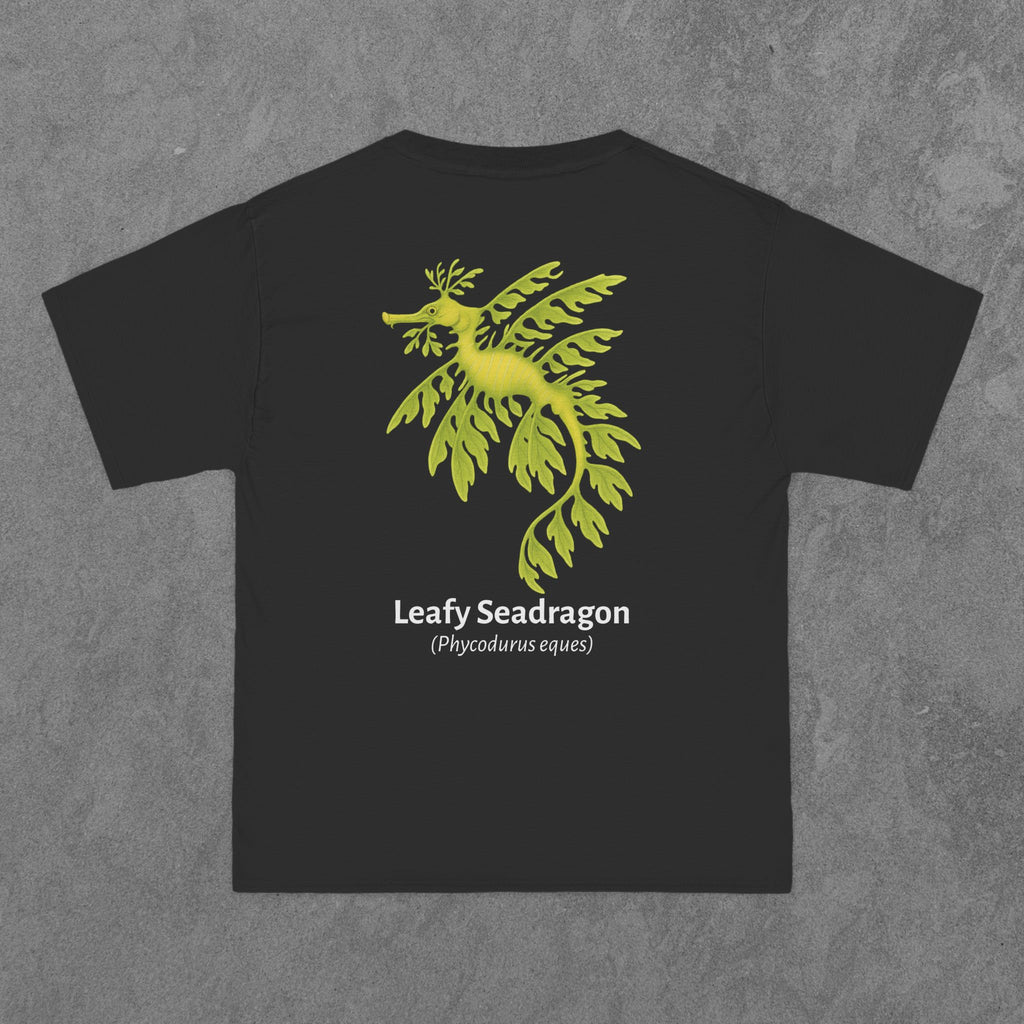 Leafy Seadragon - (Phycodurus eques)