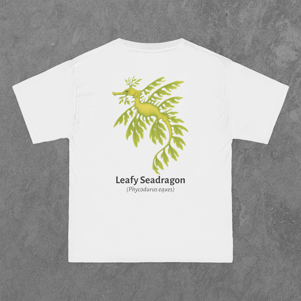 Leafy Seadragon - (Phycodurus eques)