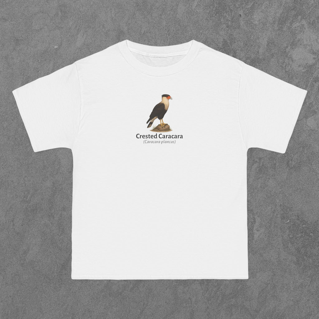 Crested Caracara - (Caracara plancus)