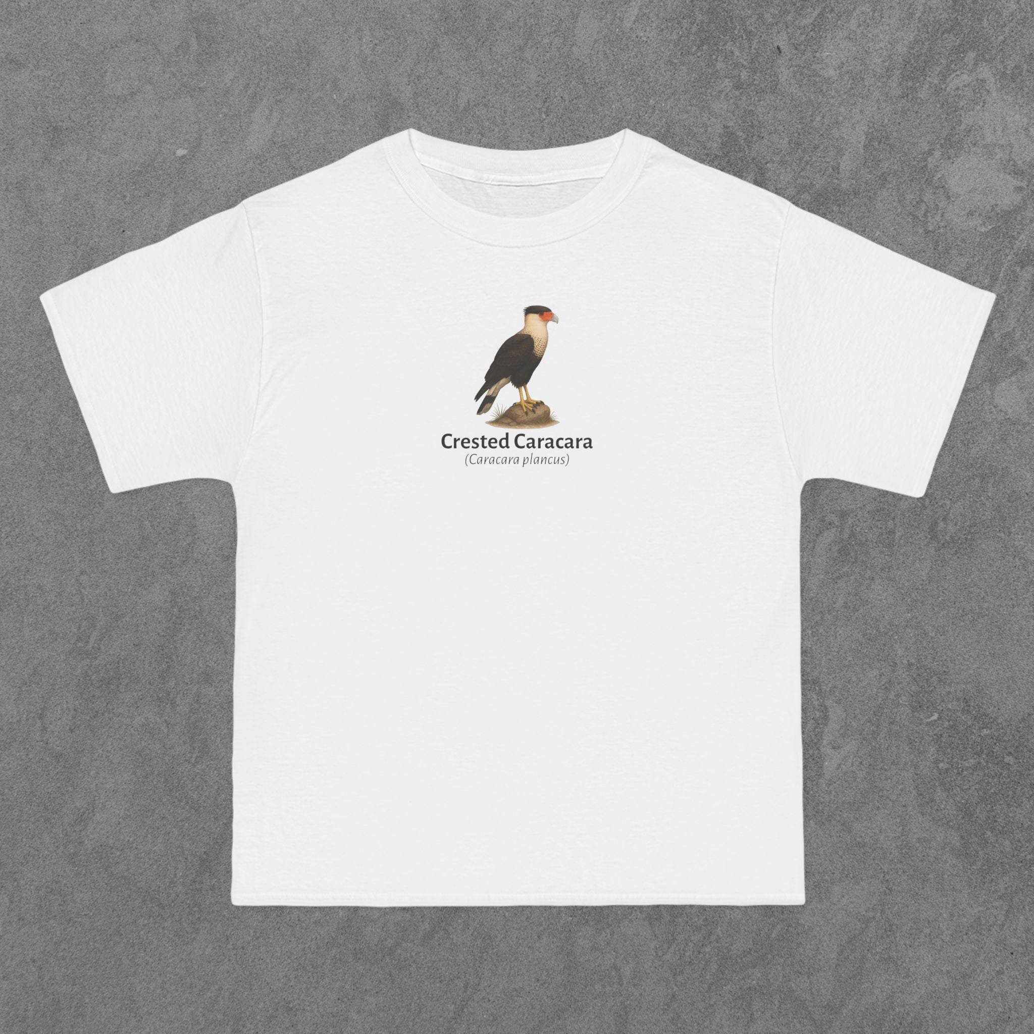 Crested Caracara - (Caracara plancus)