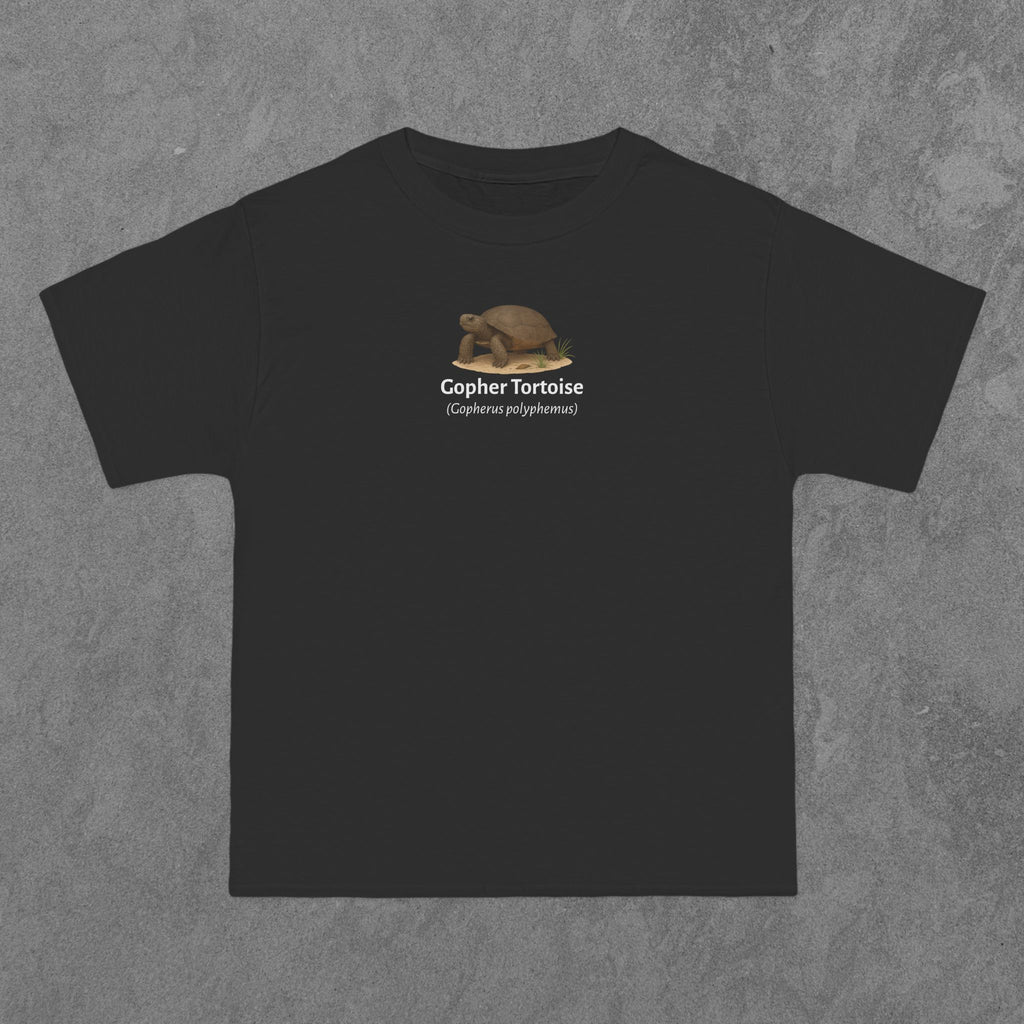 Gopher Tortoise - (Gopherus polyphemus)