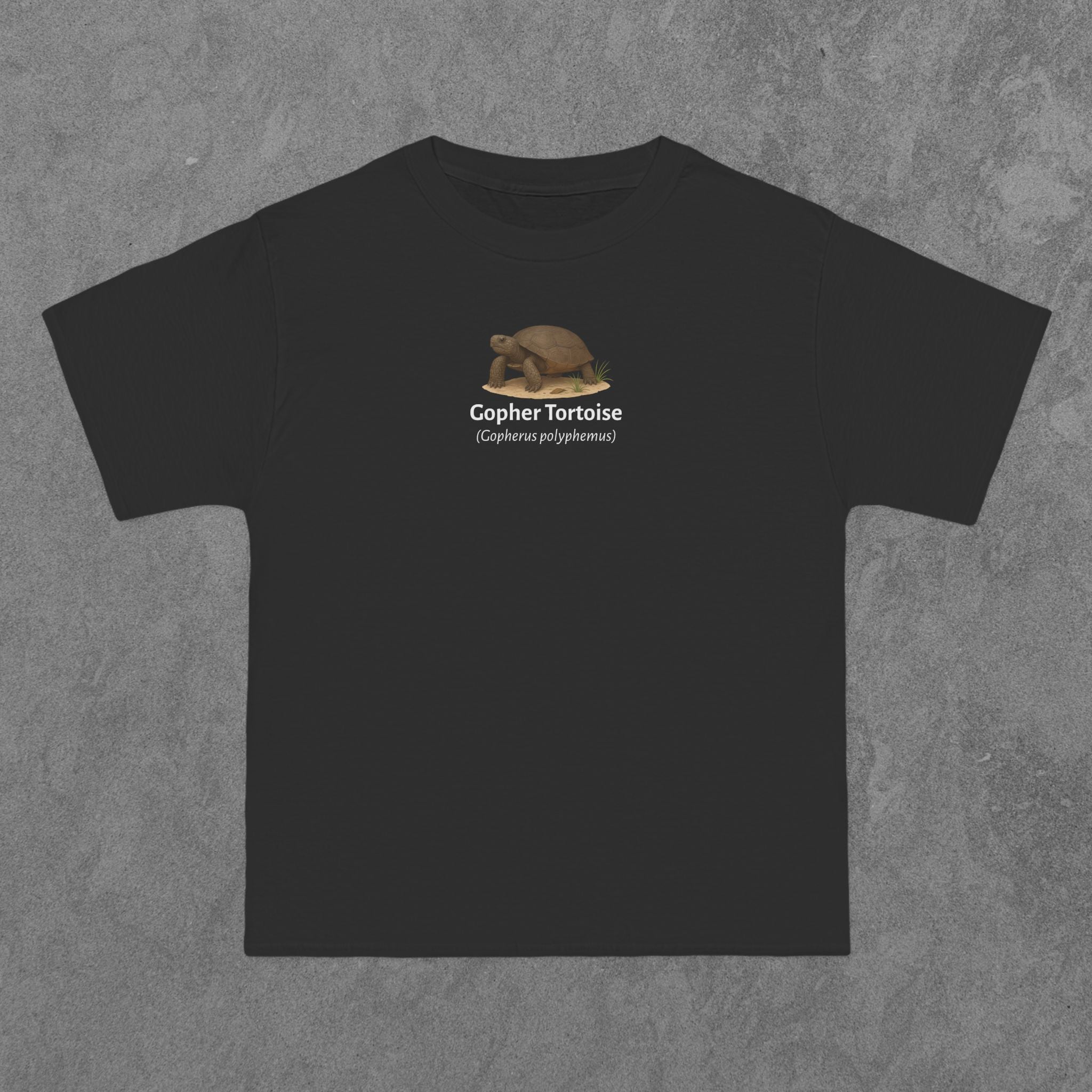 Gopher Tortoise - (Gopherus polyphemus)