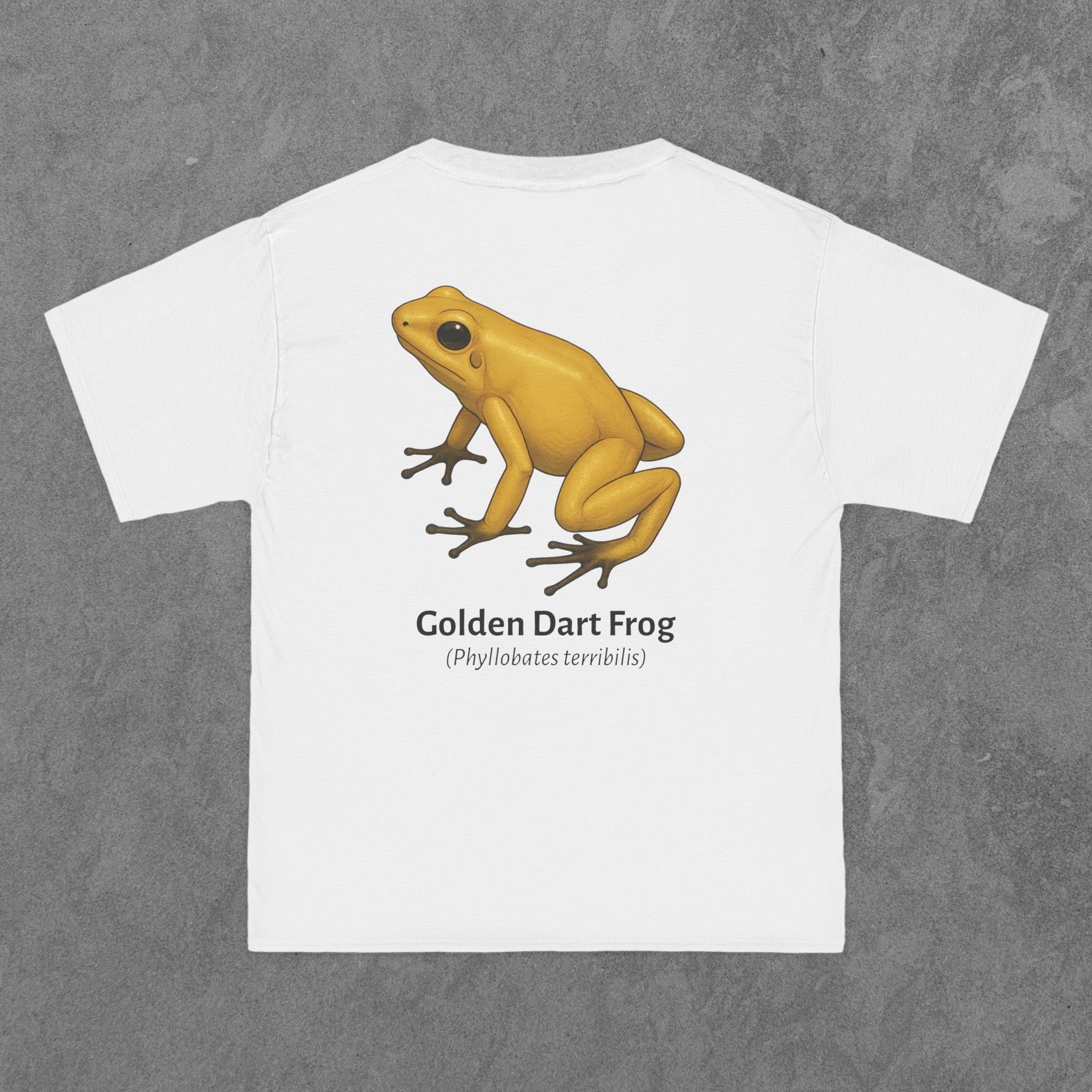 Golden Dart Frog - (Phyllobates terribilis)