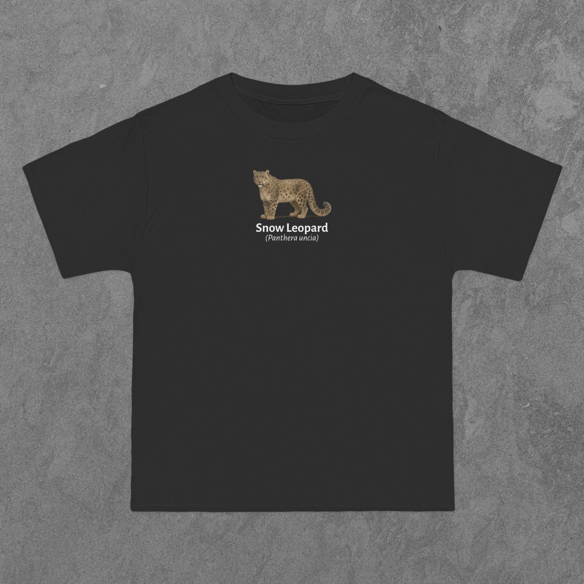 Snow Leopard - (Panthera uncia)