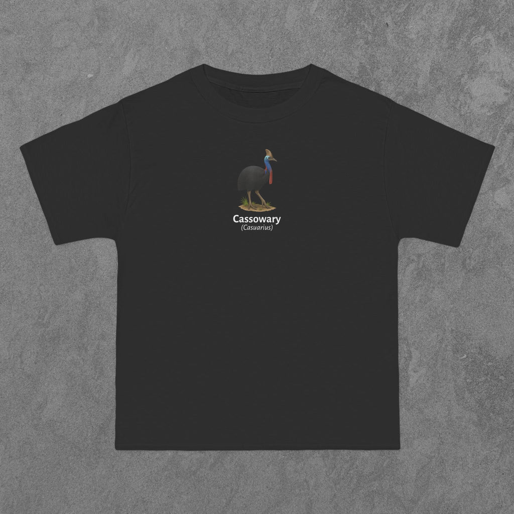 Cassowary - (Casuarius)