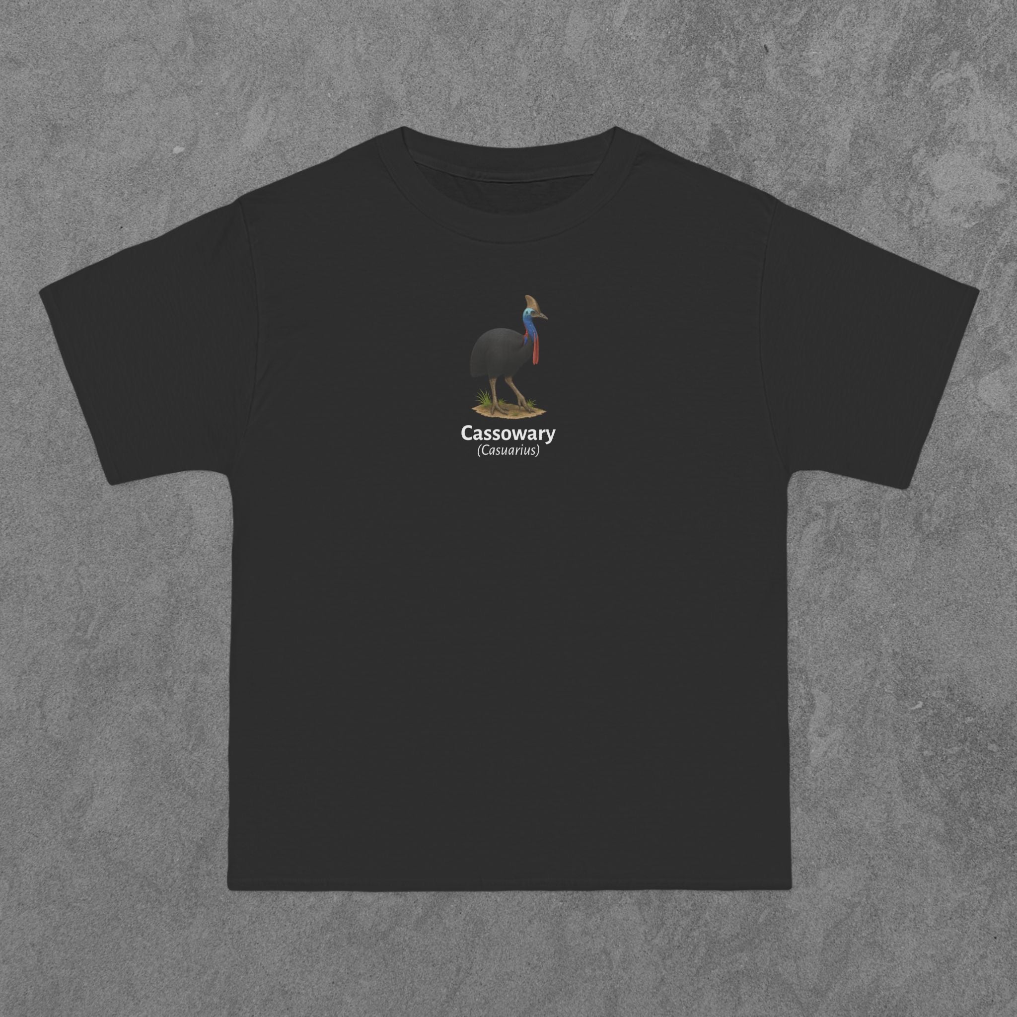 Cassowary - (Casuarius)