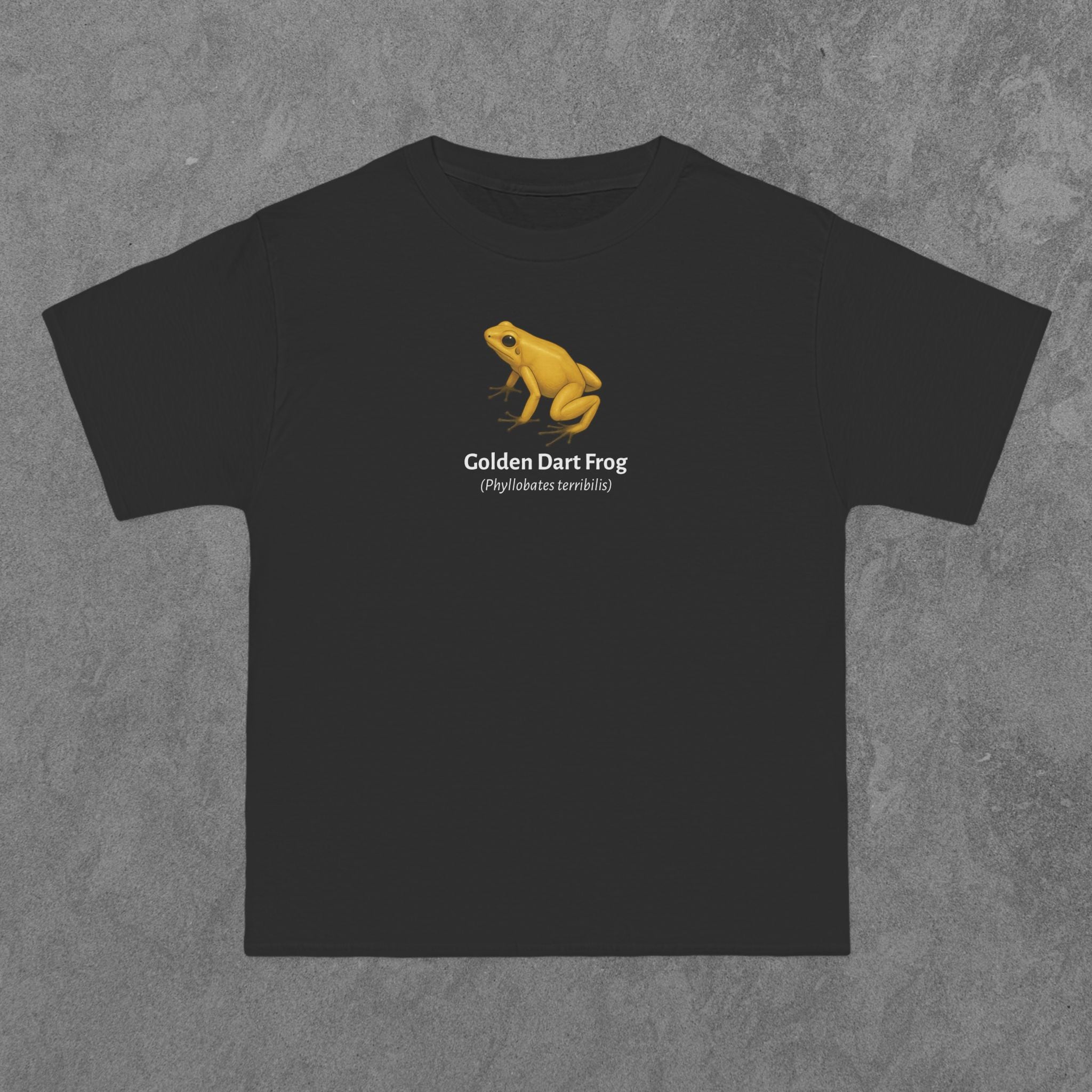 Golden Dart Frog - (Phyllobates terribilis)