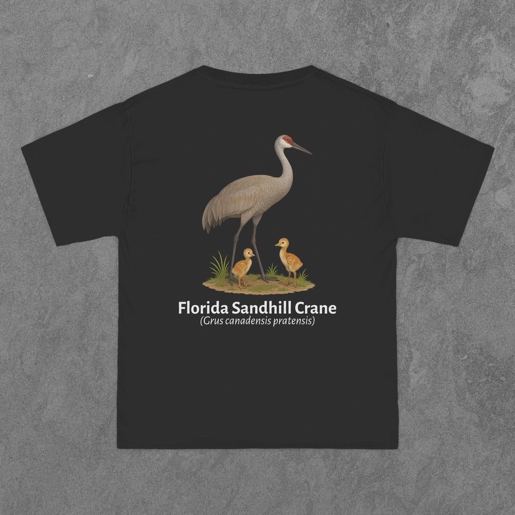 Florida Sandhill Crane - (Grus canadensis pratensis)