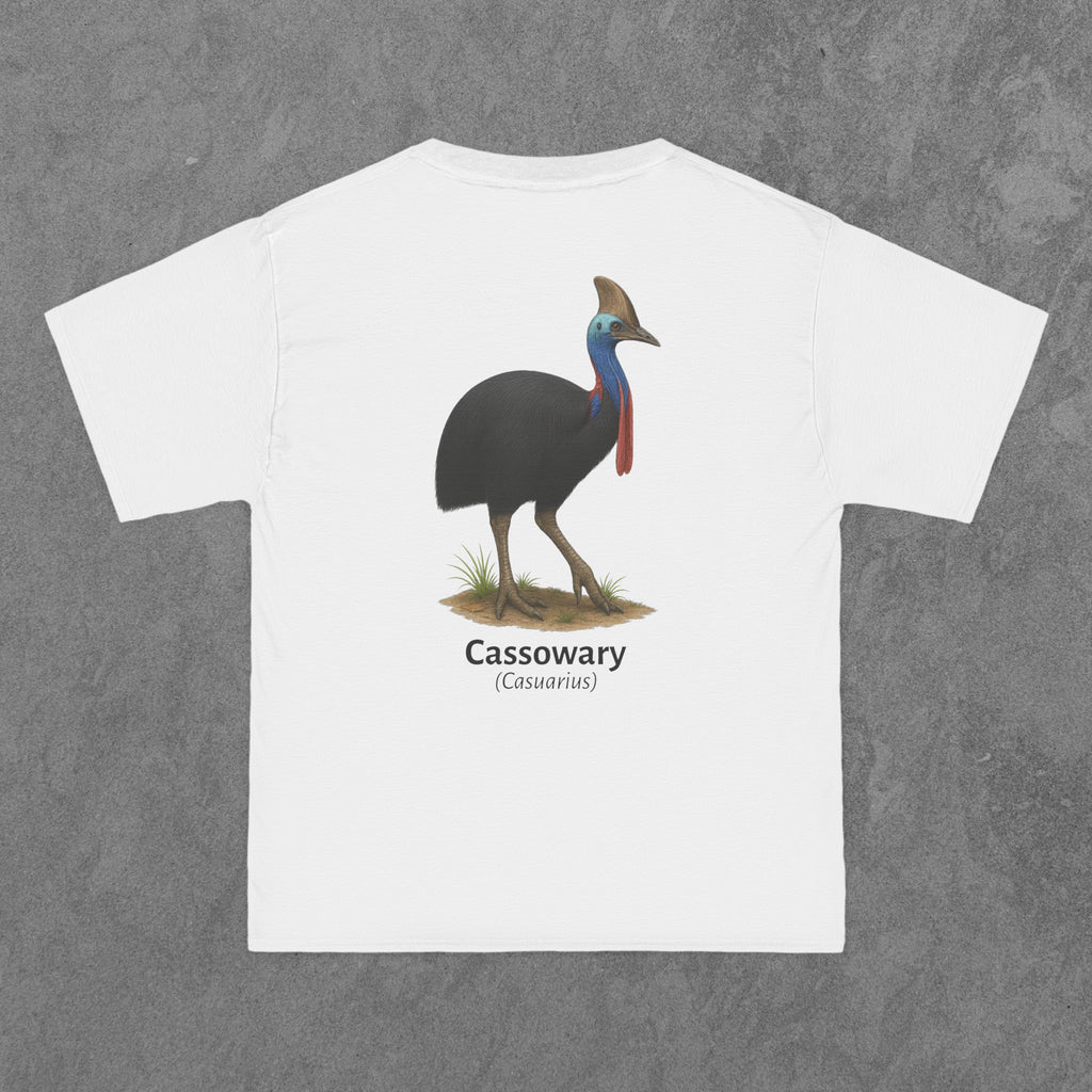 Cassowary - (Casuarius)