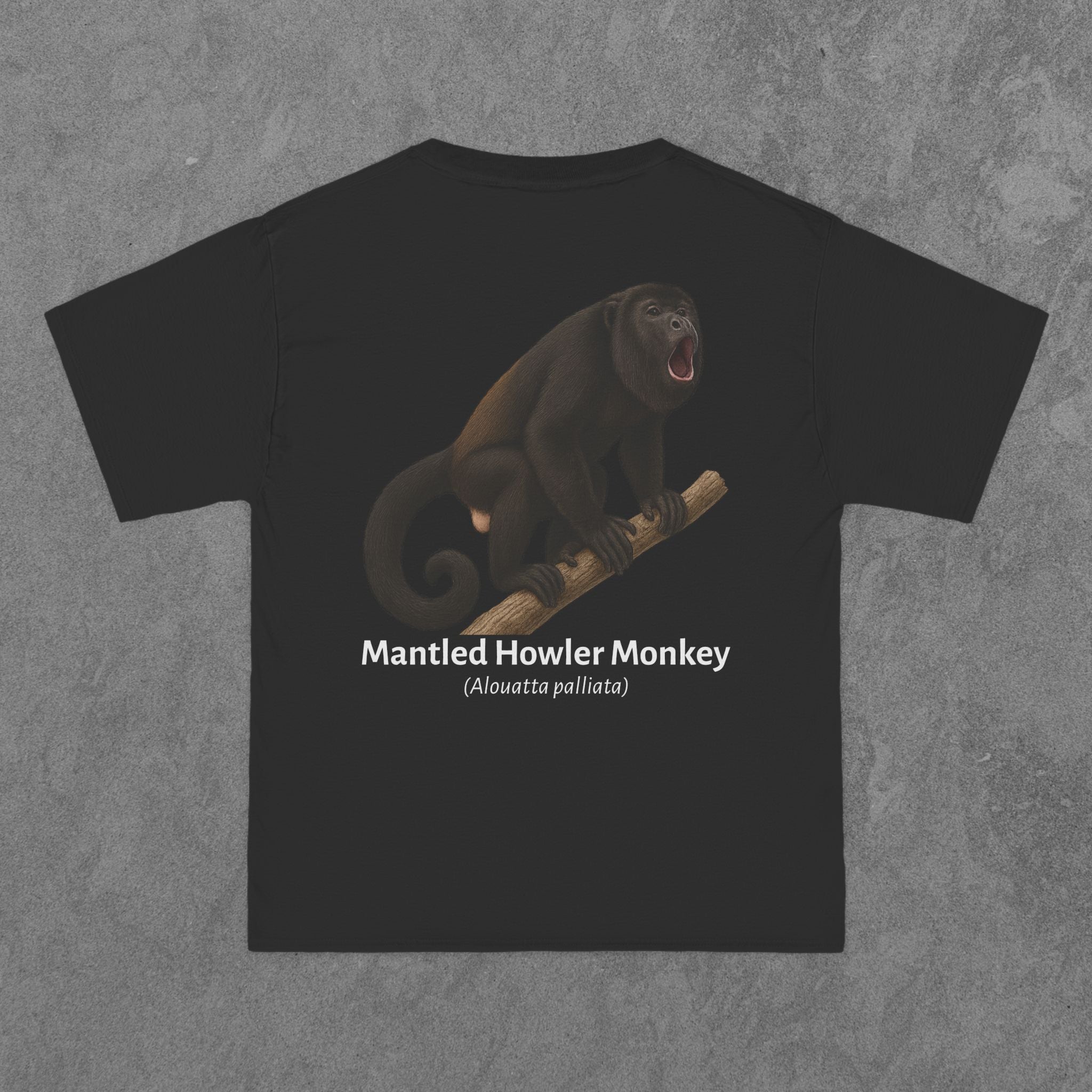 Mantled Howler Monkey - (Alouatta palliata)