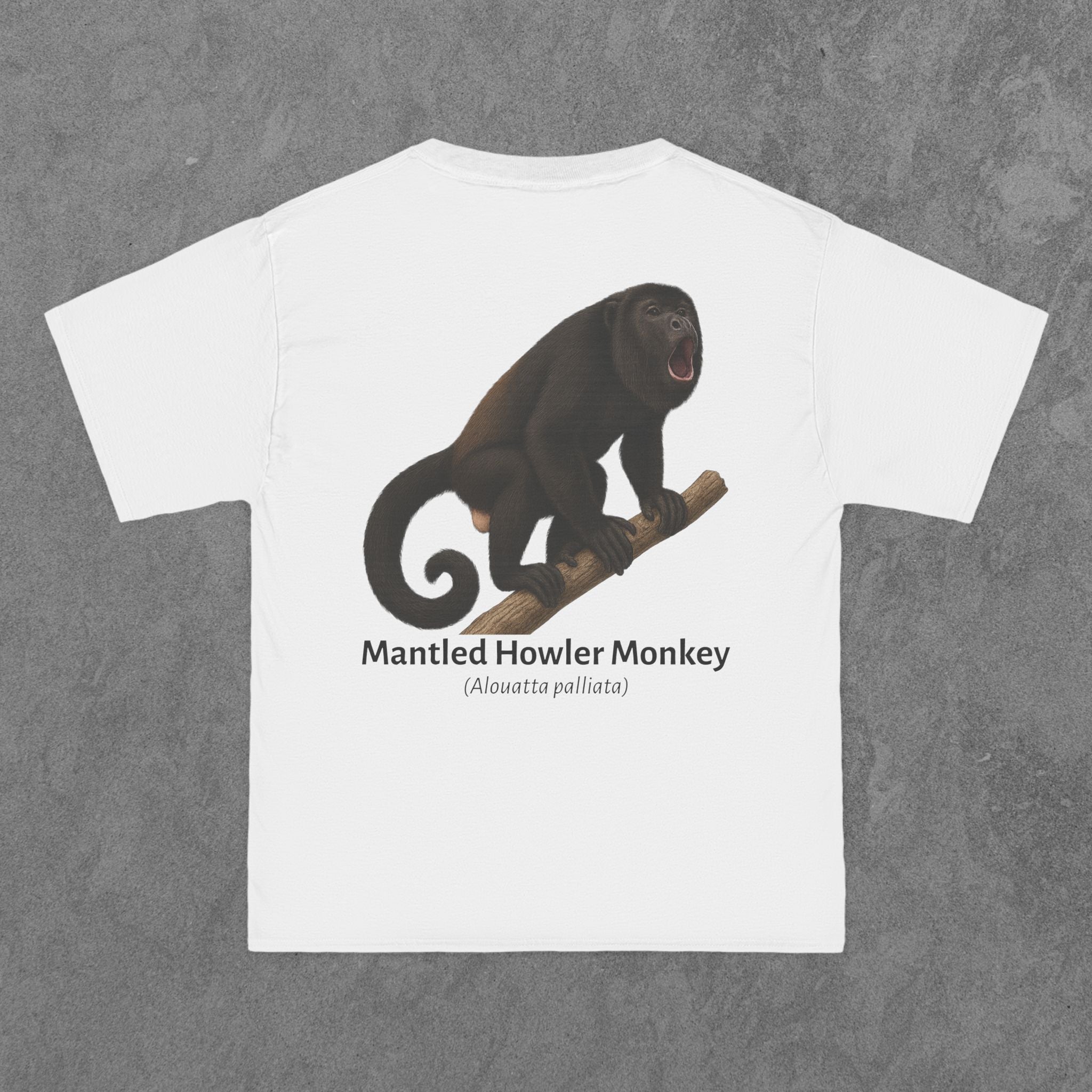 Mantled Howler Monkey - (Alouatta palliata)