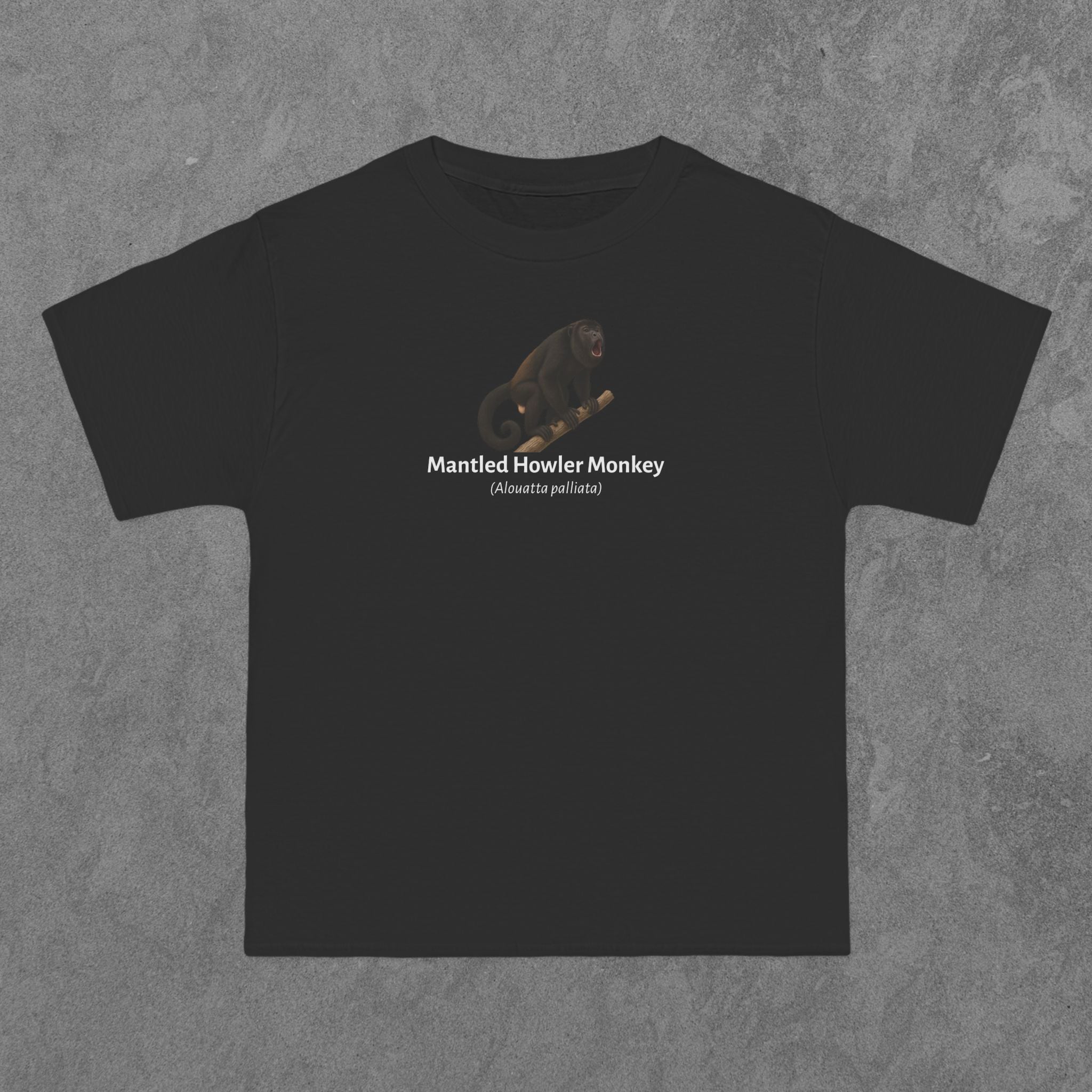 Mantled Howler Monkey - (Alouatta palliata)