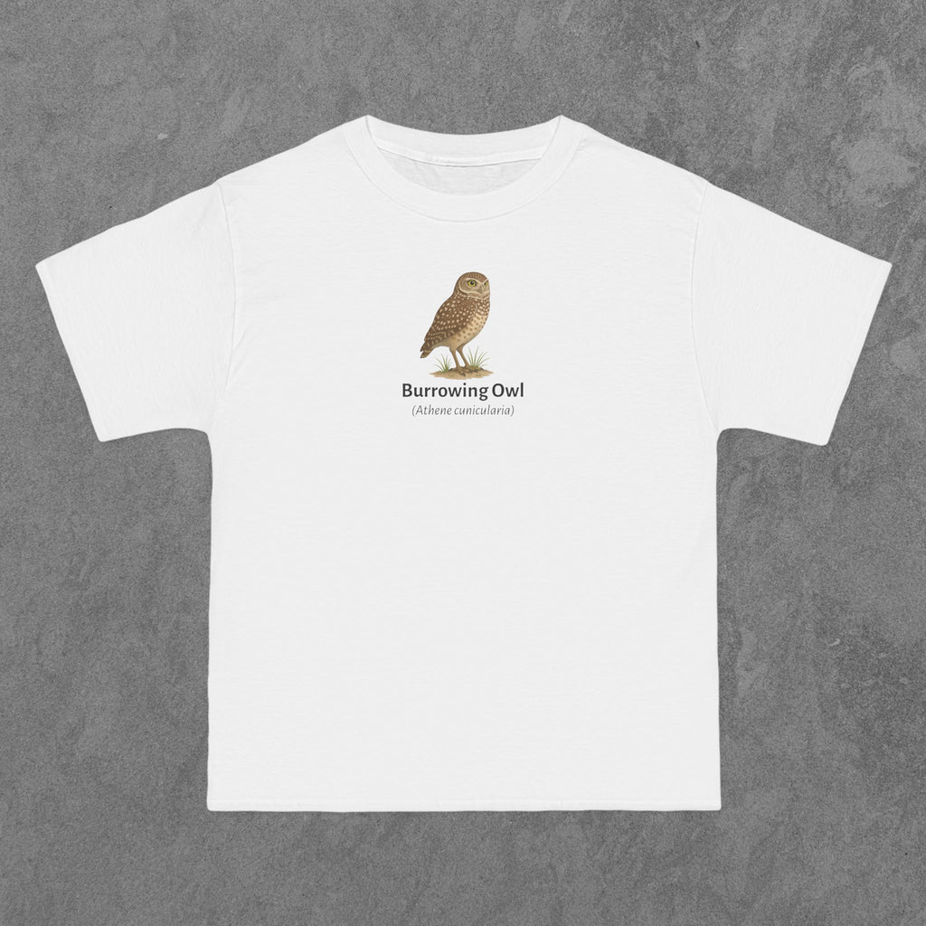 Burrowing Owl - (Athene cunicularia)