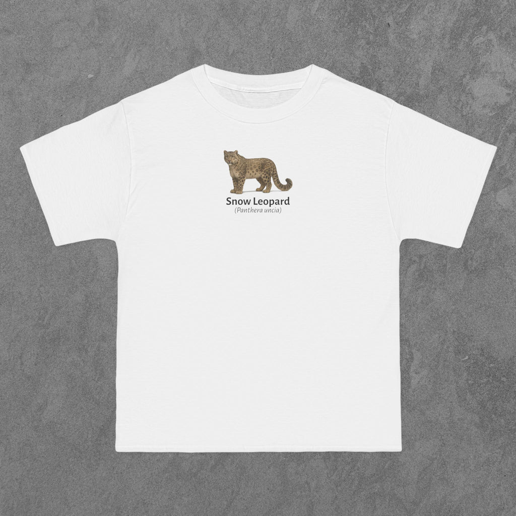 Snow Leopard - (Panthera uncia)