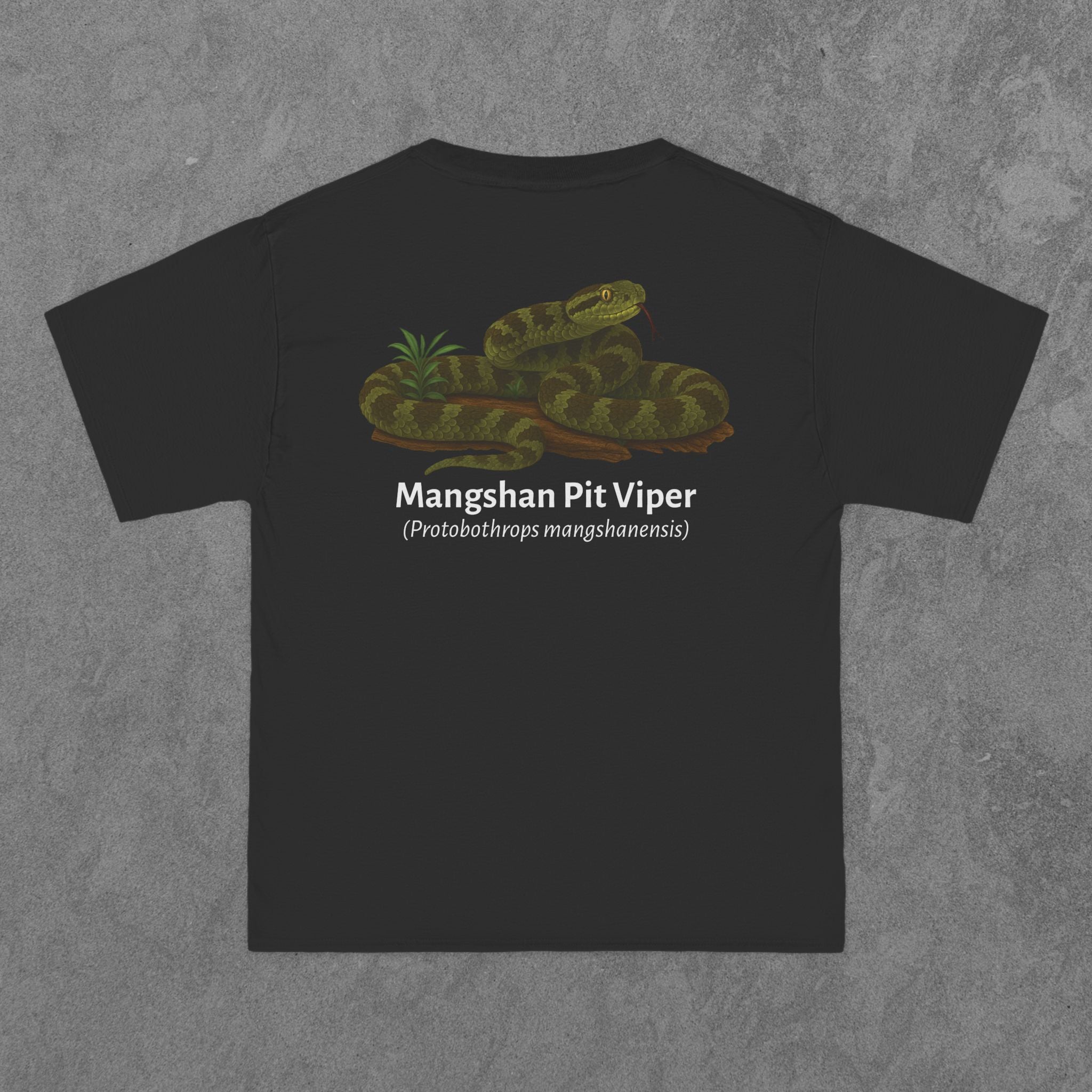 Mangshan Pit Viper - (Protobothrops mangshanensis)